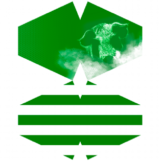 MÁSCARA DIGITAL TORCIDA ALVIVERDE 100% ALGODÃO CORTE COM 18 UN